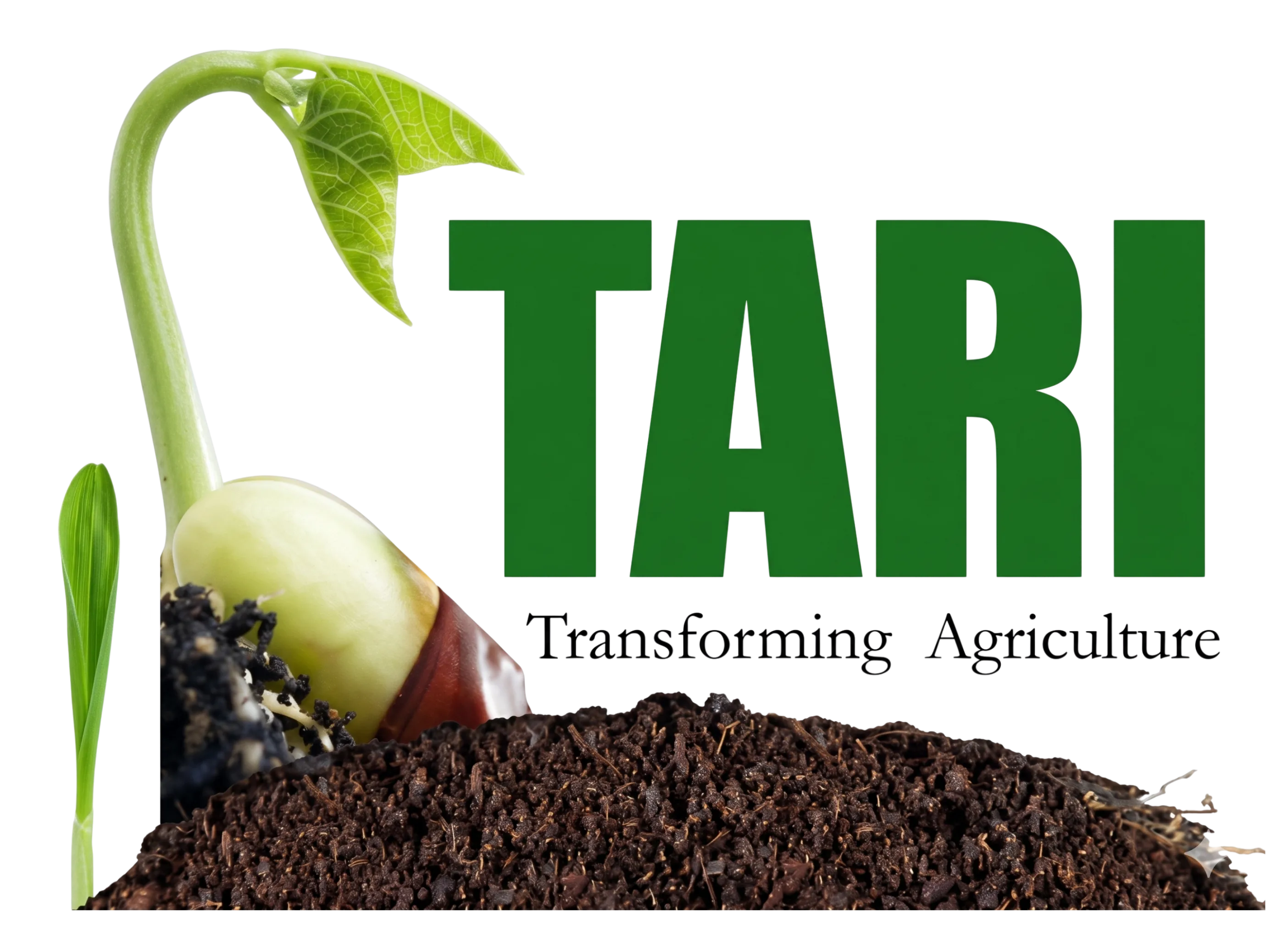 TARI